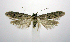  ( - jflandry0804)  @14 [ ] Copyright (2007) Unspecified Canadian National Collection