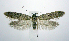  ( - jflandry0529)  @14 [ ] Copyright (2007) Unspecified Canadian National Collection