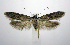  ( - jflandry0526)  @14 [ ] Copyright (2007) Unspecified Canadian National Collection