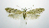  ( - jflandry0782)  @14 [ ] Copyright (2007) Unspecified Canadian National Collection