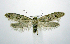  ( - jflandry0595)  @14 [ ] Copyright (2007) Unspecified Canadian National Collection