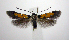  ( - jflandry0459)  @13 [ ] Copyright (2007) Unspecified Canadian National Collection