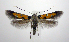  ( - jflandry0454)  @13 [ ] Copyright (2007) Unspecified Canadian National Collection