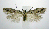  ( - jflandry0518)  @13 [ ] CreativeCommons - Attribution (2010) Unspecified Centre for Biodiversity Genomics