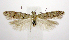  ( - jflandry0687)  @14 [ ] CreativeCommons - Attribution (2010) Unspecified Centre for Biodiversity Genomics