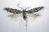  ( - jflandry0672)  @13 [ ] CreativeCommons - Attribution (2010) Unspecified Centre for Biodiversity Genomics