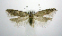  ( - jflandry0741)  @13 [ ] CreativeCommons - Attribution (2010) Unspecified Centre for Biodiversity Genomics