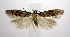  ( - jflandry0686)  @13 [ ] CreativeCommons - Attribution (2010) Unspecified Centre for Biodiversity Genomics