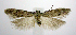  ( - jflandry0674)  @14 [ ] CreativeCommons - Attribution (2010) Unspecified Centre for Biodiversity Genomics