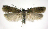  ( - jflandry0536)  @14 [ ] Copyright (2007) Unspecified Canadian National Collection