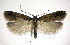  ( - jflandry0538)  @14 [ ] Copyright (2007) Unspecified Canadian National Collection