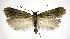  ( - jflandry0539)  @14 [ ] Copyright (2007) Unspecified Canadian National Collection