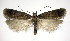  ( - jflandry0540)  @14 [ ] Copyright (2007) Unspecified Canadian National Collection