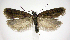  ( - jflandry0541)  @14 [ ] Copyright (2007) Unspecified Canadian National Collection