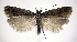  ( - jflandry0542)  @14 [ ] Copyright (2007) Unspecified Canadian National Collection