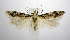  ( - jflandry0600)  @13 [ ] CreativeCommons - Attribution (2010) Unspecified Centre for Biodiversity Genomics