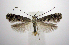  ( - jflandry0908)  @14 [ ] Copyright (2007) Unspecified Canadian National Collection