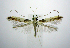  ( - jflandry0924)  @14 [ ] Copyright (2007) Unspecified Canadian National Collection