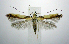  ( - jflandry0925)  @13 [ ] Copyright (2007) Unspecified Canadian National Collection