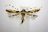  ( - jflandry0926)  @13 [ ] Copyright (2007) Unspecified Canadian National Collection
