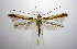  ( - jflandry0927)  @13 [ ] Copyright (2007) Unspecified Canadian National Collection