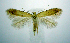  ( - jflandry0905)  @13 [ ] Copyright (2007) Unspecified Canadian National Collection