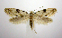  ( - jflandry0781)  @14 [ ] Copyright (2007) Unspecified Canadian National Collection