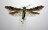  ( - jflandry0909)  @13 [ ] Copyright (2007) Unspecified Canadian National Collection