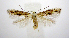  ( - jflandry0893)  @14 [ ] Copyright (2007) Unspecified Canadian National Collection