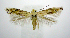  ( - jflandry0879)  @14 [ ] CreativeCommons - Attribution (2010) Unspecified Centre for Biodiversity Genomics
