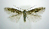  ( - jflandry0375)  @14 [ ] Copyright (2007) Unspecified Canadian National Collection