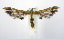  ( - jflandry0836)  @14 [ ] Copyright (2007) Unspecified Canadian National Collection