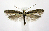  ( - jflandry0324)  @15 [ ] Copyright (2007) Unspecified Canadian National Collection
