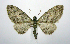  ( - jflandry0353)  @14 [ ] Copyright (2007) Unspecified Canadian National Collection
