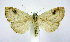  ( - jflandry0585)  @14 [ ] Copyright (2007) Unspecified Canadian National Collection