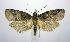  ( - jflandry0799)  @13 [ ] Copyright (2007) Unspecified Canadian National Collection