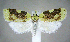  ( - jflandry1067)  @14 [ ] Copyright (2007) Unspecified Canadian National Collection