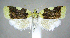  ( - jflandry1068)  @14 [ ] Copyright (2007) Unspecified Canadian National Collection
