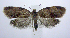  ( - jflandry1028)  @14 [ ] Copyright (2007) Unspecified Canadian National Collection