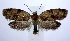  ( - jflandry1007)  @14 [ ] Copyright (2007) Unspecified Canadian National Collection