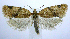  ( - jflandry1005)  @13 [ ] CreativeCommons - Attribution (2010) Unspecified Centre for Biodiversity Genomics