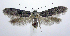  ( - jflandry1054)  @14 [ ] CreativeCommons - Attribution (2010) Unspecified Centre for Biodiversity Genomics