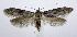  ( - jflandry1055)  @14 [ ] CreativeCommons - Attribution (2010) Unspecified Centre for Biodiversity Genomics