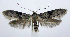  ( - jflandry1056)  @15 [ ] CreativeCommons - Attribution (2010) Unspecified Centre for Biodiversity Genomics
