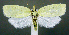  ( - jflandry1070)  @14 [ ] Copyright (2007) Unspecified Canadian National Collection