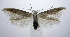  ( - jflandry1121)  @14 [ ] Unspecified (default): All Rights Reserved  Unspecified Unspecified