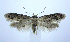  ( - jflandry0990)  @14 [ ] Copyright (2007) Unspecified Canadian National Collection