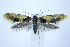  ( - jflandry0976)  @13 [ ] Copyright (2007) Unspecified Canadian National Collection