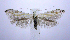  ( - jflandry0979)  @14 [ ] Copyright (2007) Unspecified Canadian National Collection