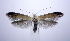  ( - jflandry0980)  @14 [ ] Copyright (2007) Unspecified Canadian National Collection